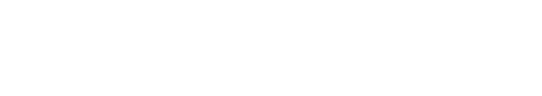 Creditsafe Logo weiß